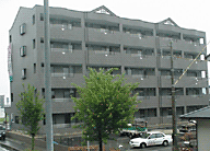 Art Vivant�O�ώʐ^